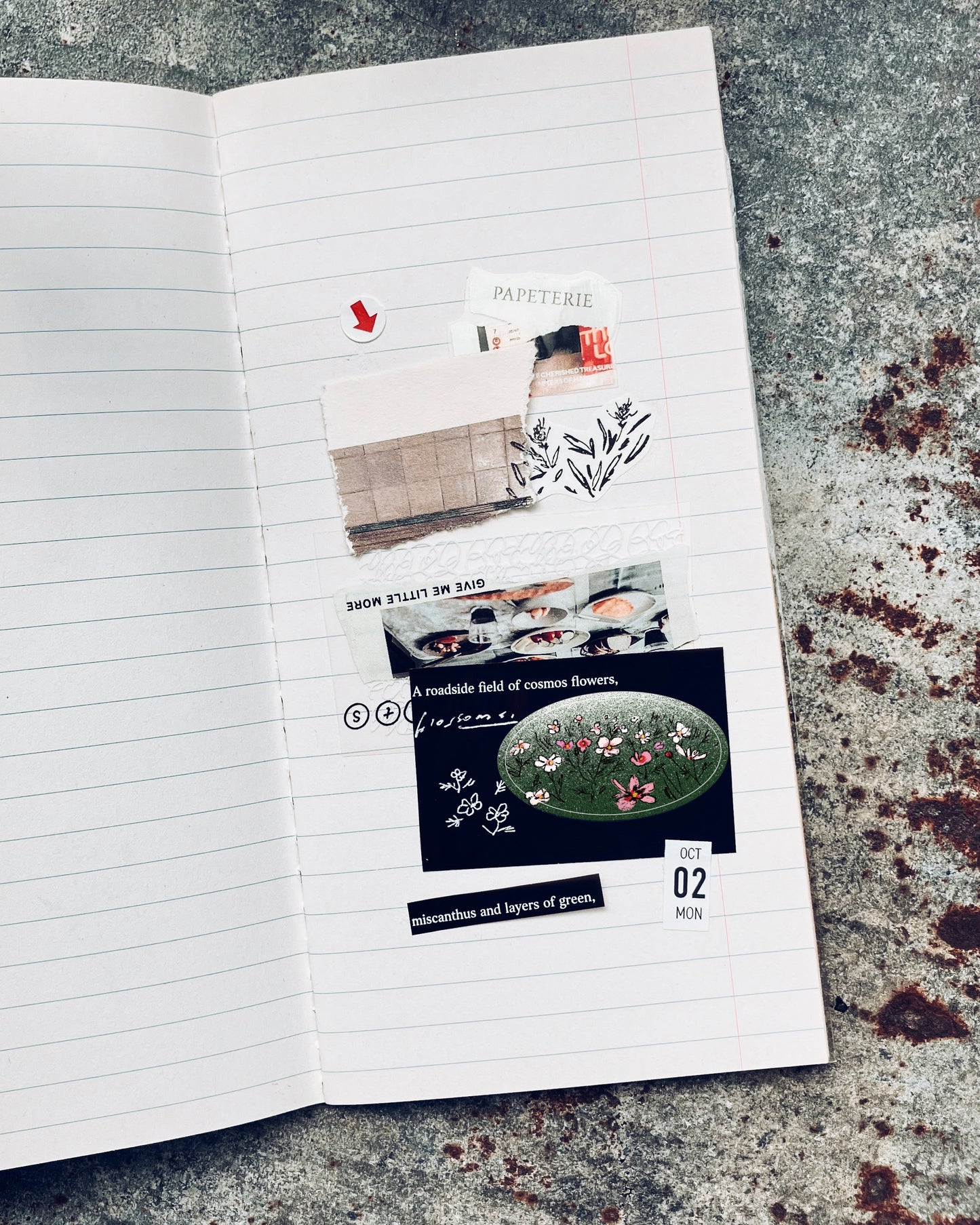 Somesortof.fern My Favorite Things PET Sticker Roll