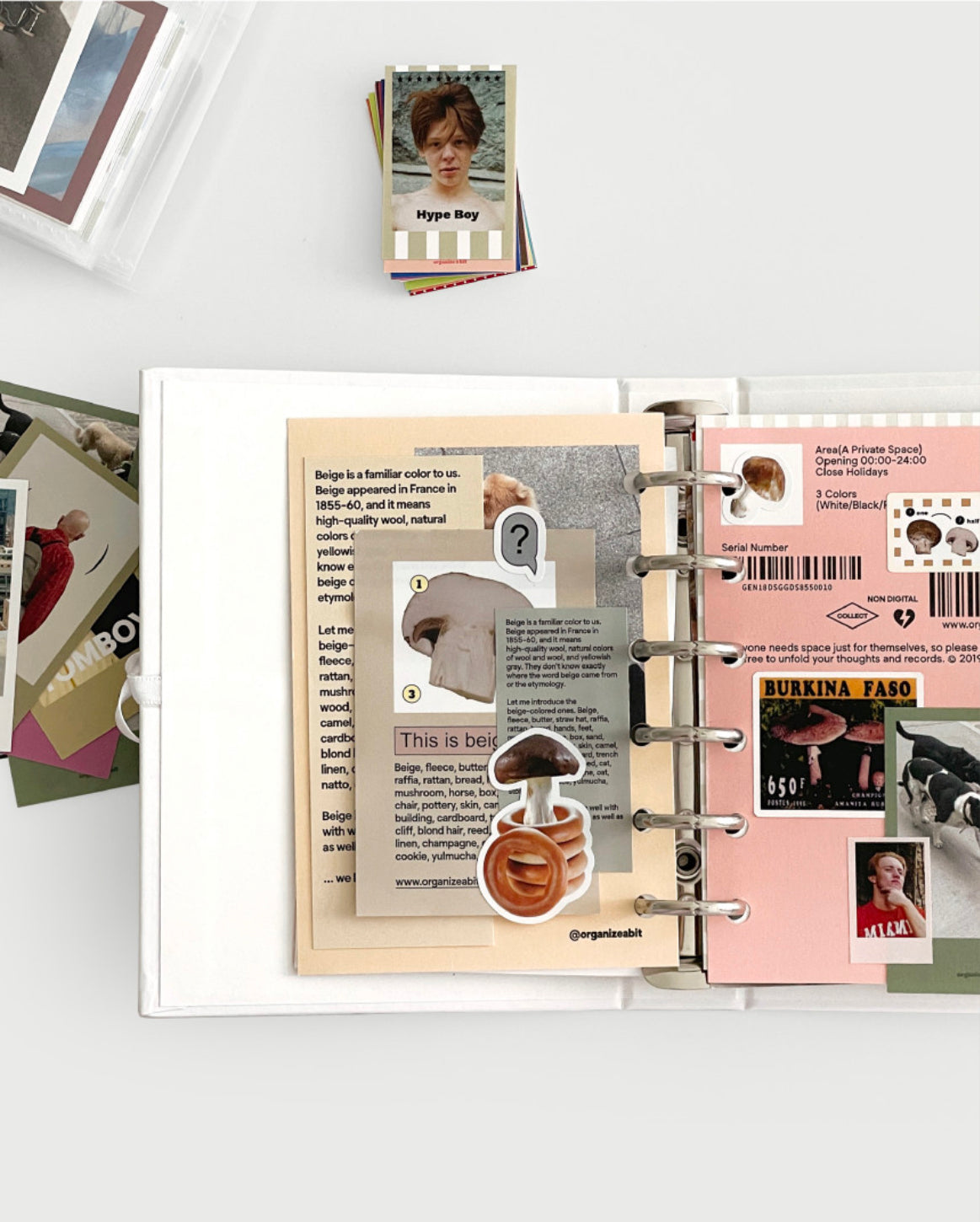 Organize a bit Micro Polaroid Sticker Sheet // Ver. 02