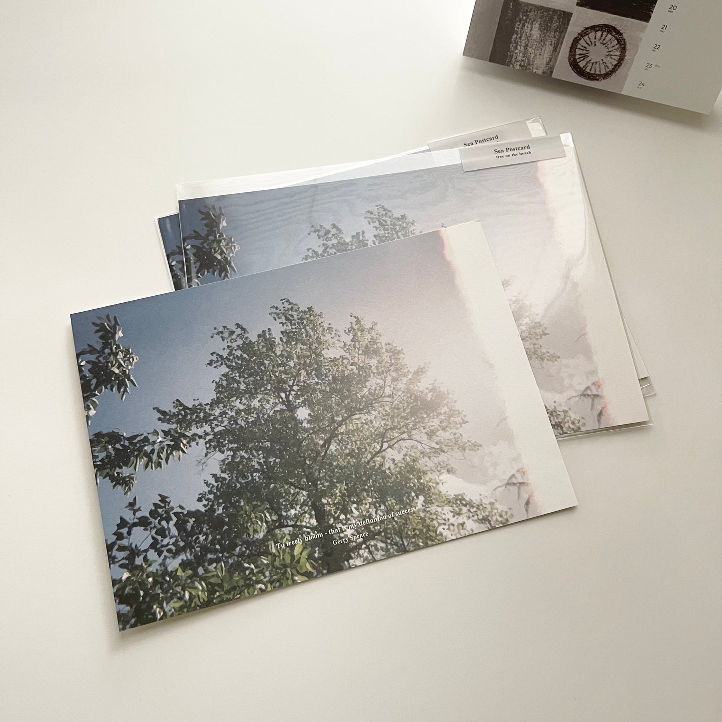 Some Mood Design Sea Postcard Ver. 2 | 5 Options