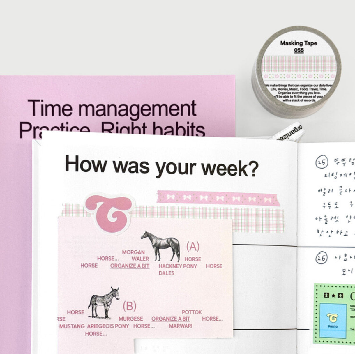Organize a bit Masking Tape Set / 055