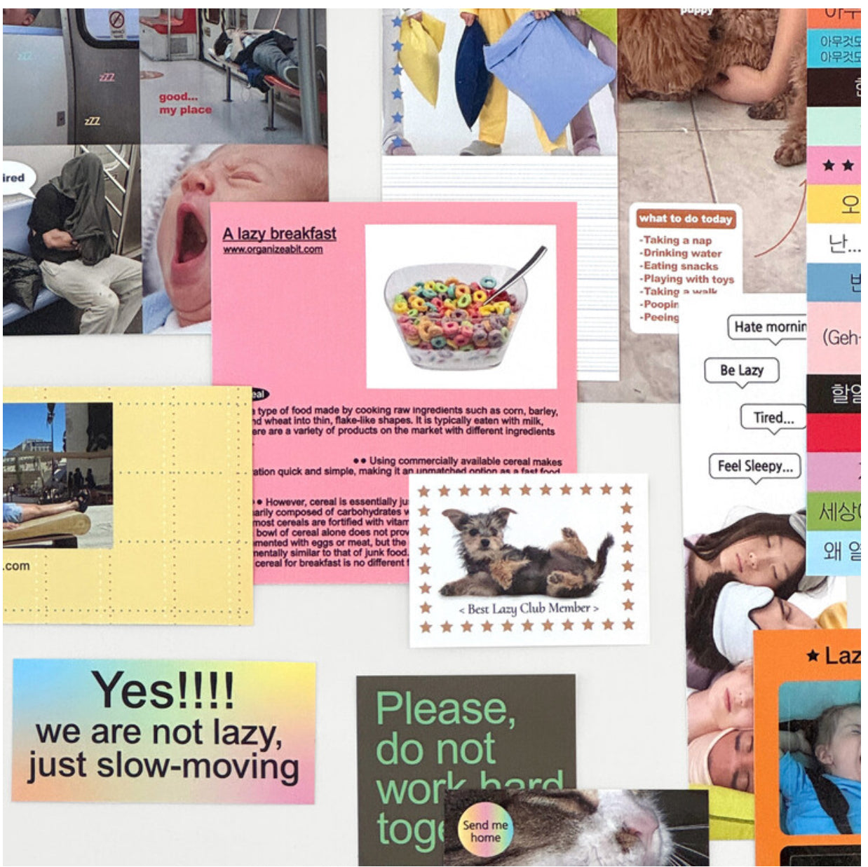 Organize a bit Lazy Deco Pack