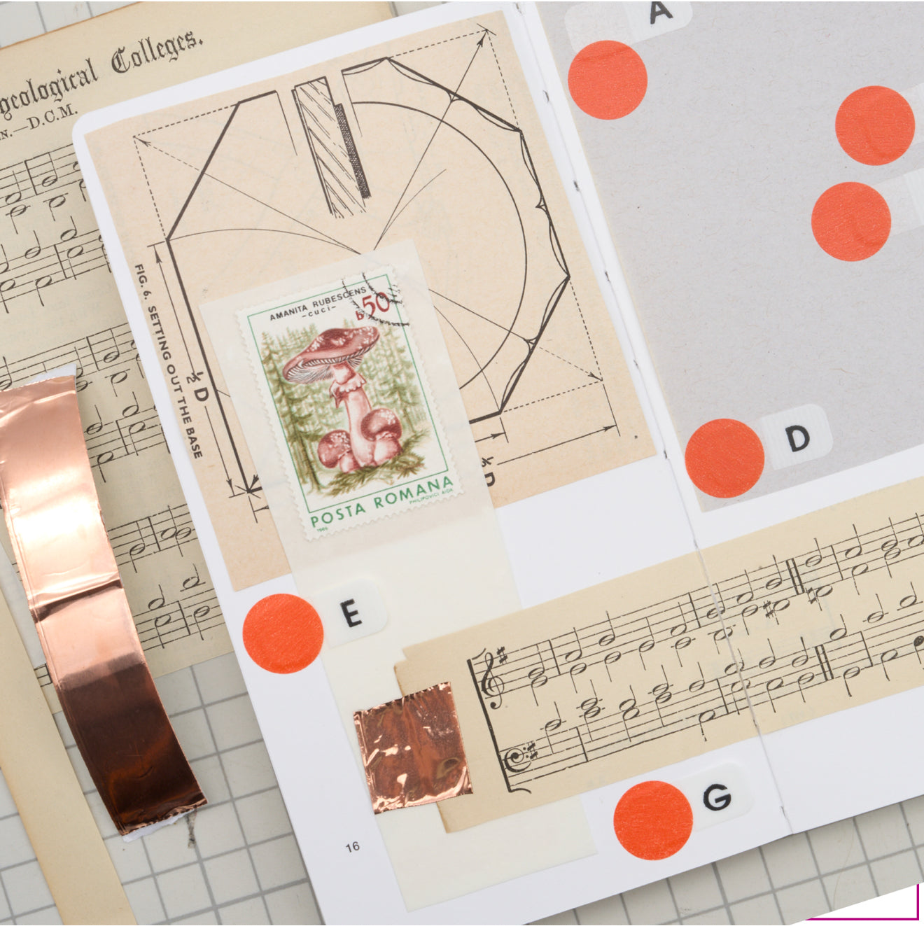 Analogue Keeper Page Book / New 3 Colors