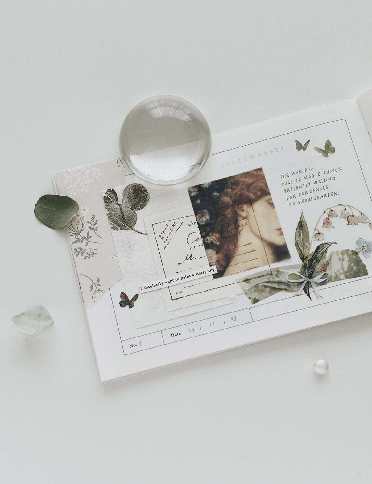 Day and Moment New Butterfly Sticker | 6 Designs