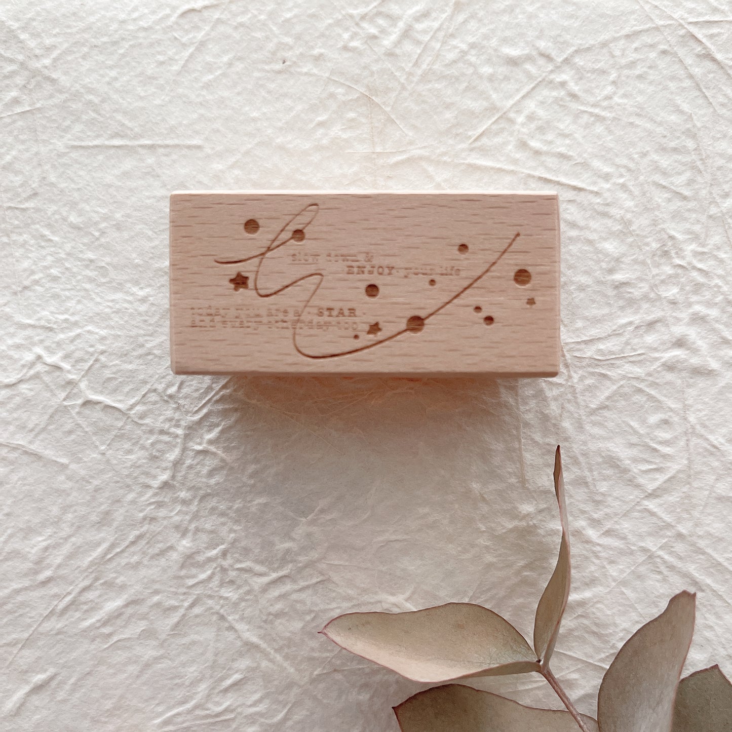 Two Raccoons The Milky Way Rubber Stamps