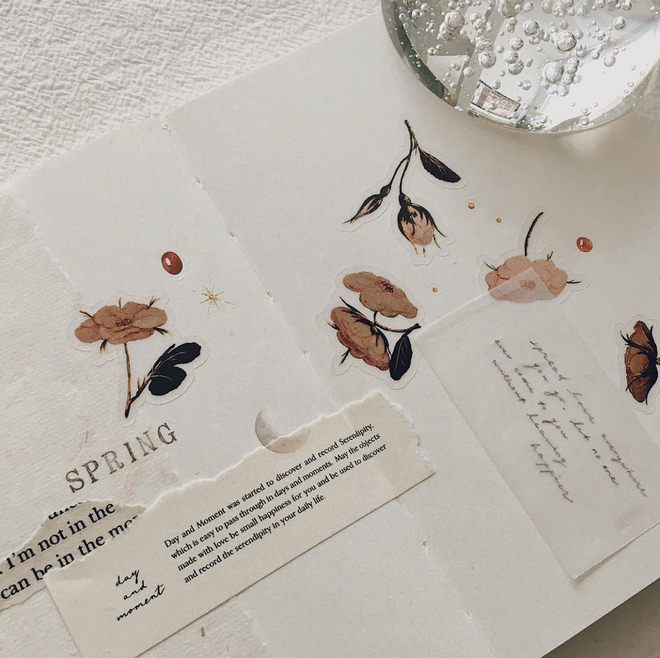 Day and Moment Venus's Flower Sticker