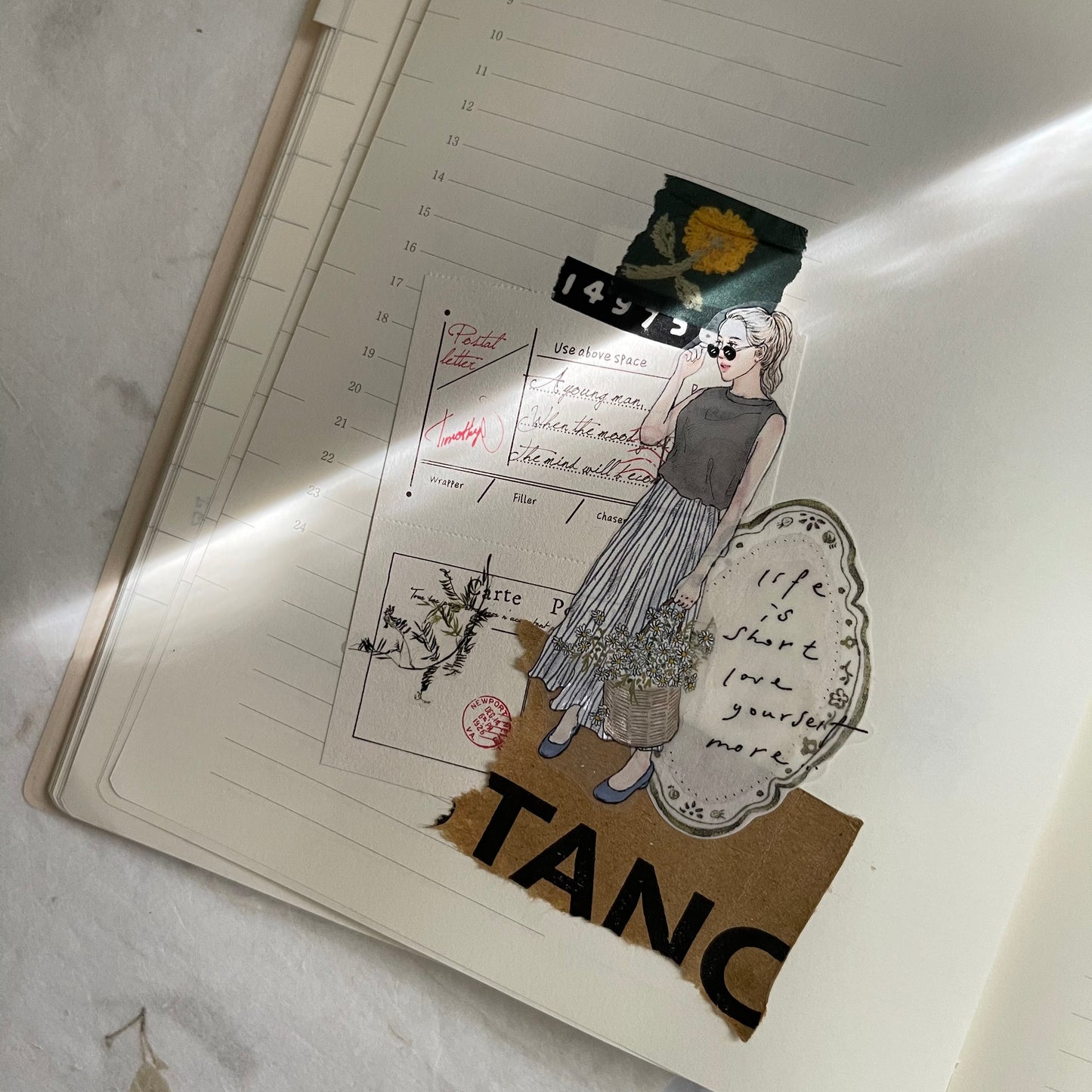 Pion Soft Transfer Stickers