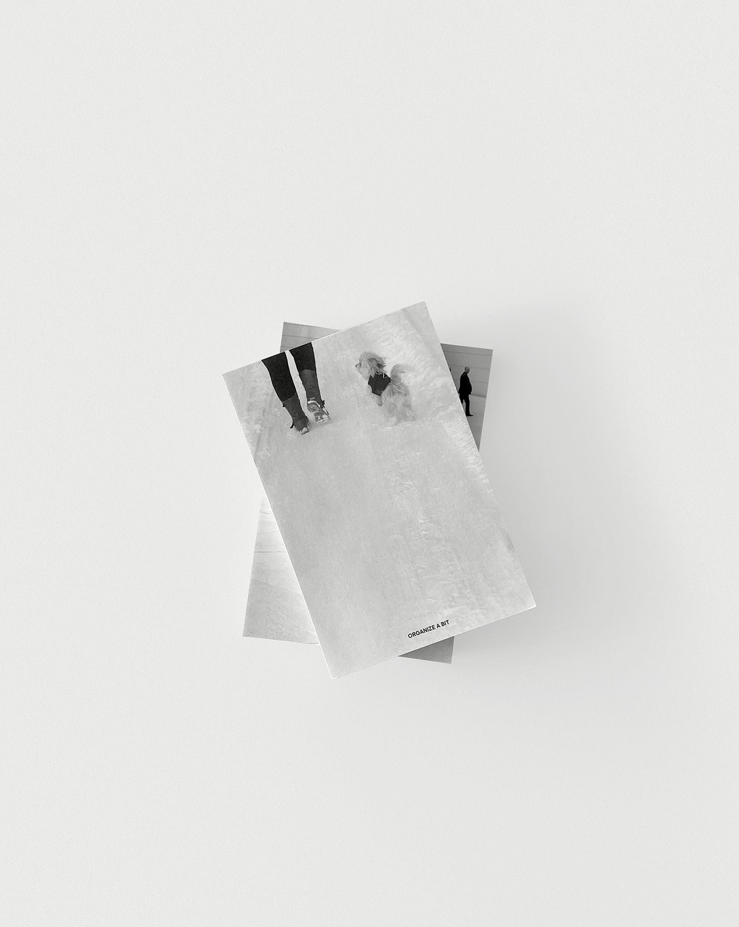 Organize a bit Photo Memo __ puppy