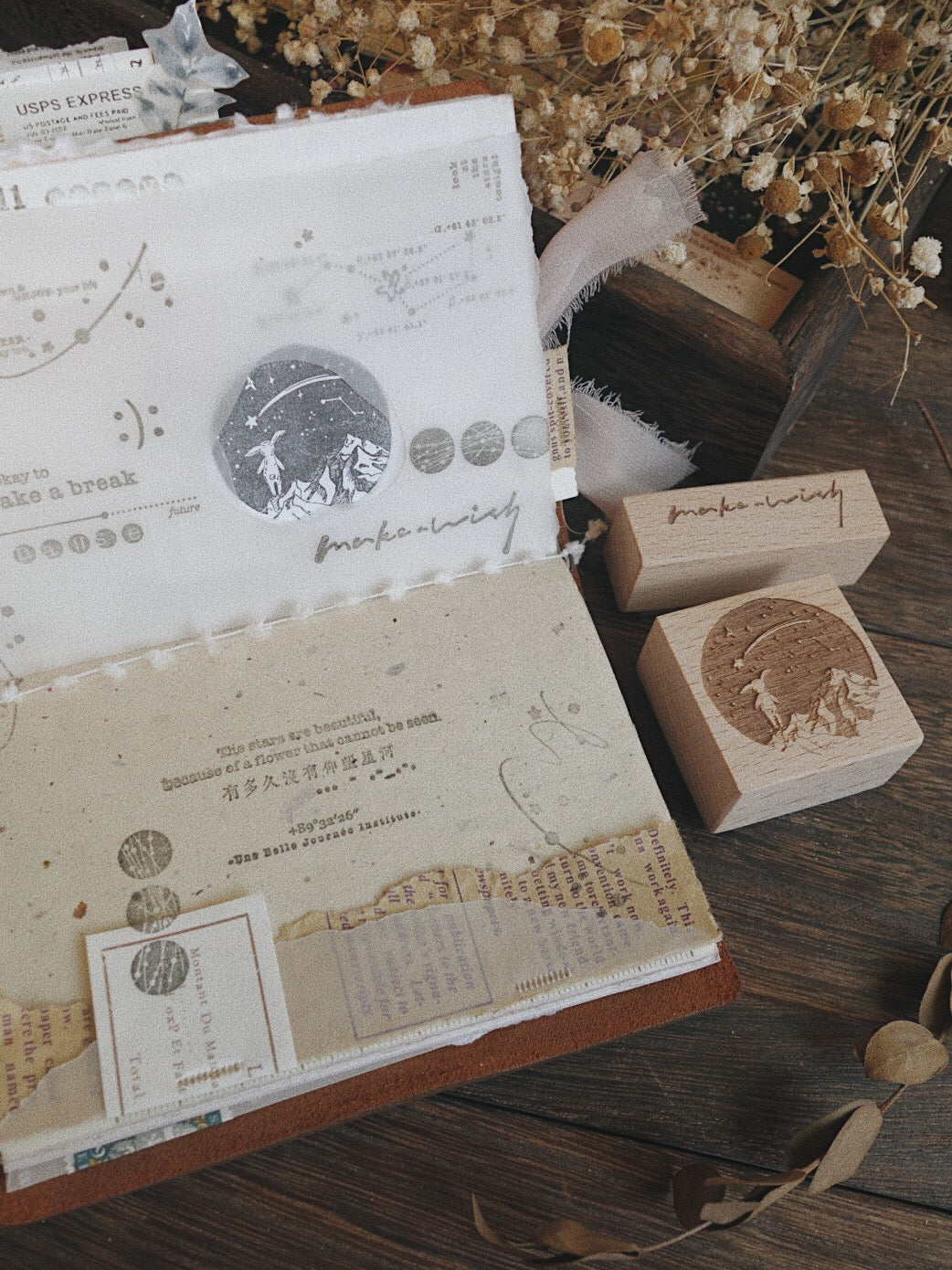 Two Raccoons The Milky Way Rubber Stamps