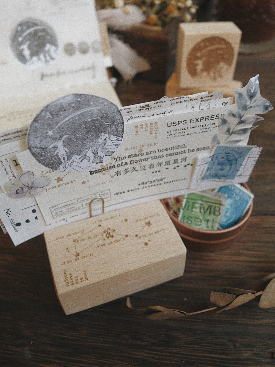 Two Raccoons The Milky Way Rubber Stamps