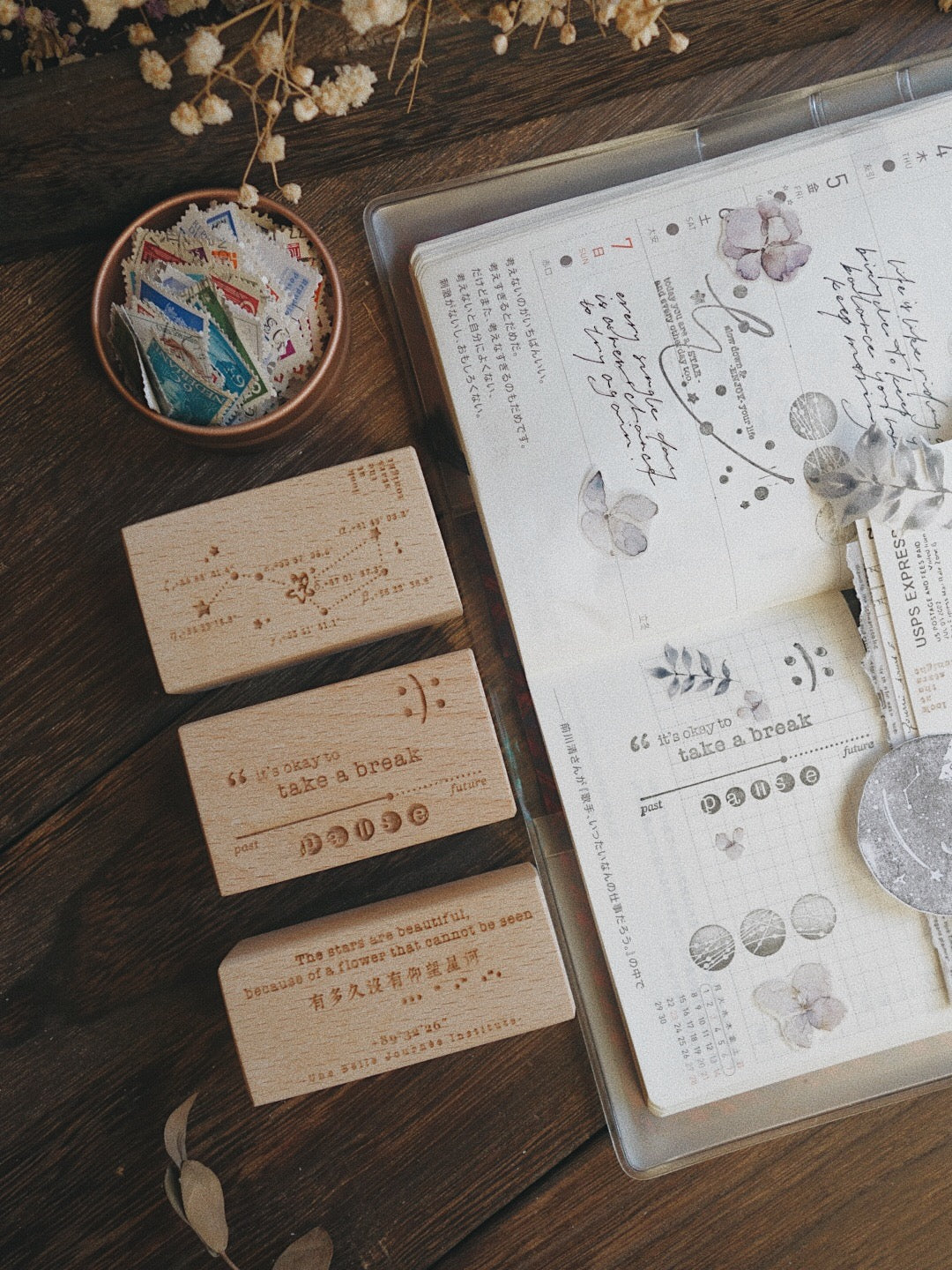 Two Raccoons The Milky Way Rubber Stamps