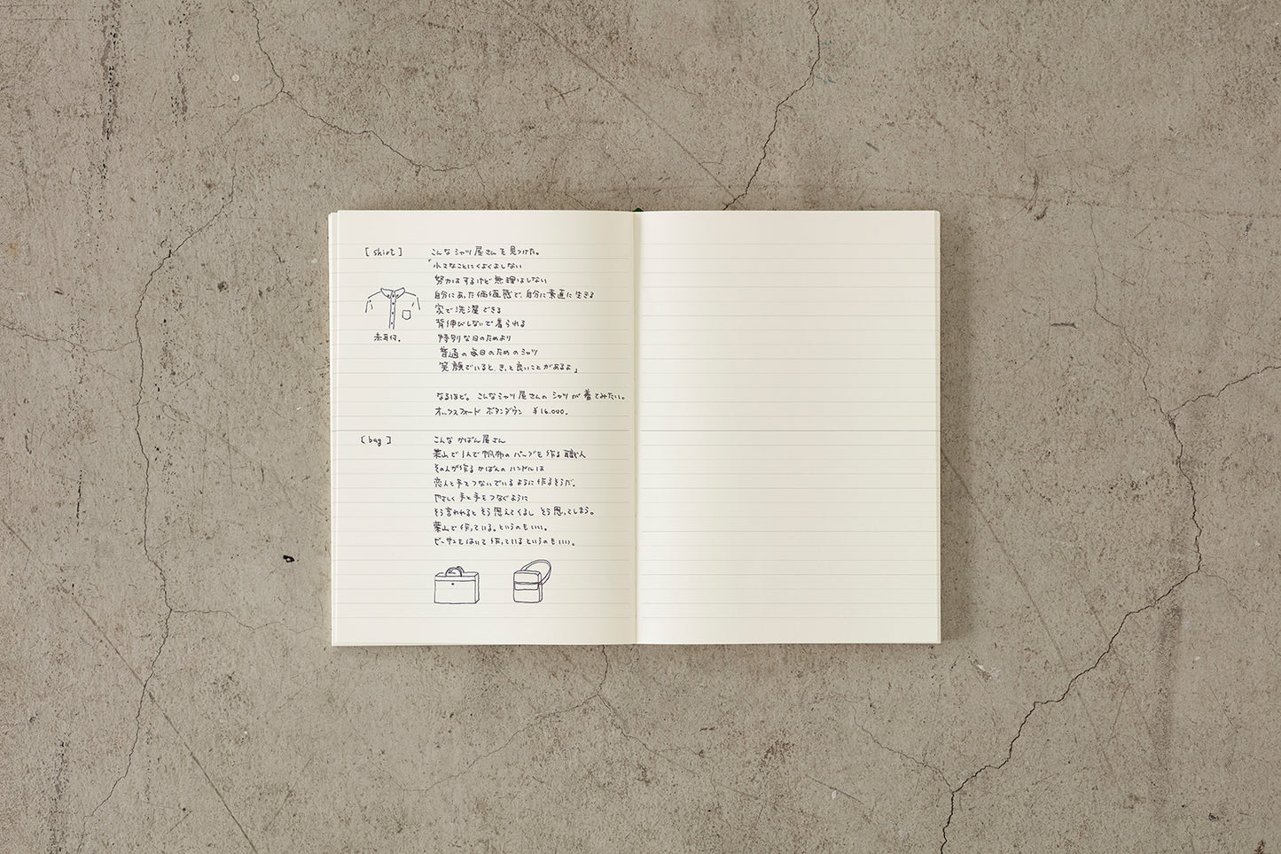 Midori Notebook in A5 | Blank, Grid, & Ruled