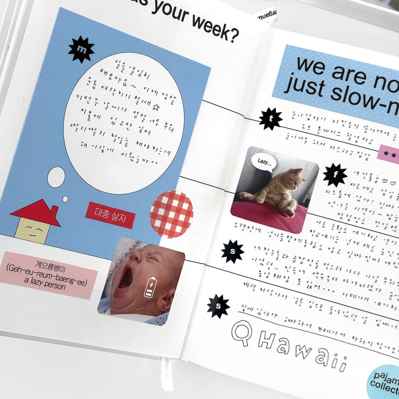 Organize a bit Lazy Pack