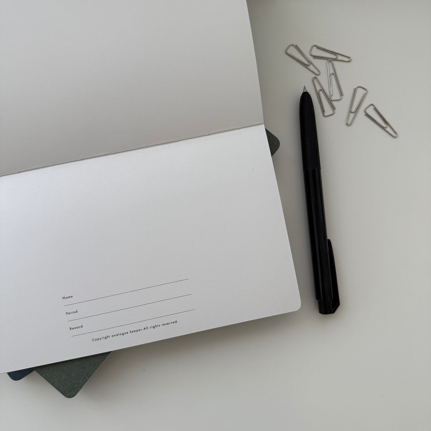 Analogue Keeper 2025 NEW Monthly Book