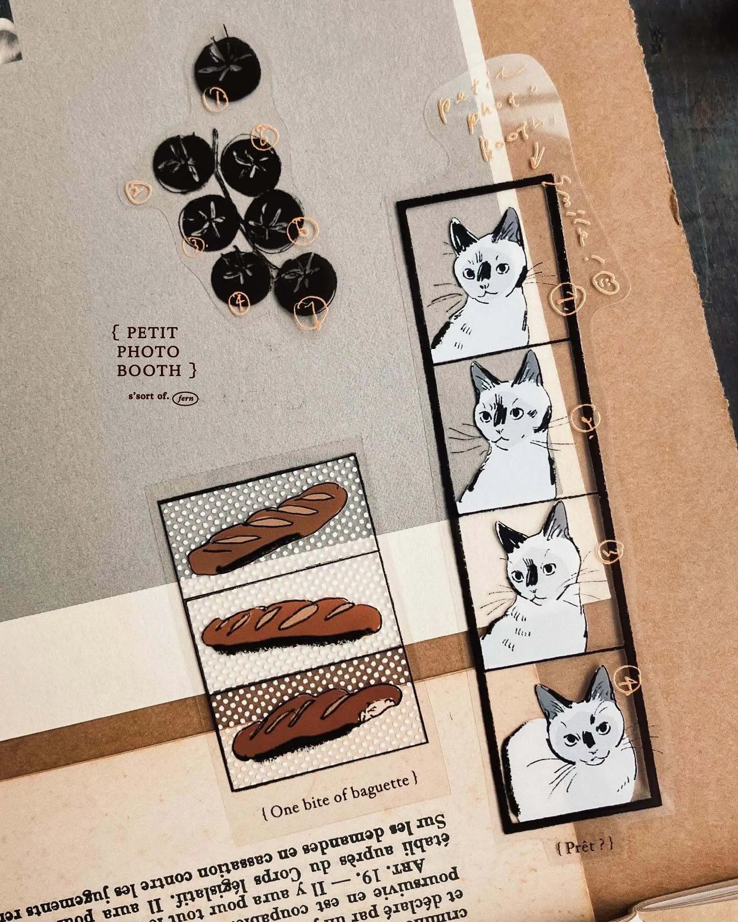 Somesortof.fern Petit Photo Booth PET Tape
