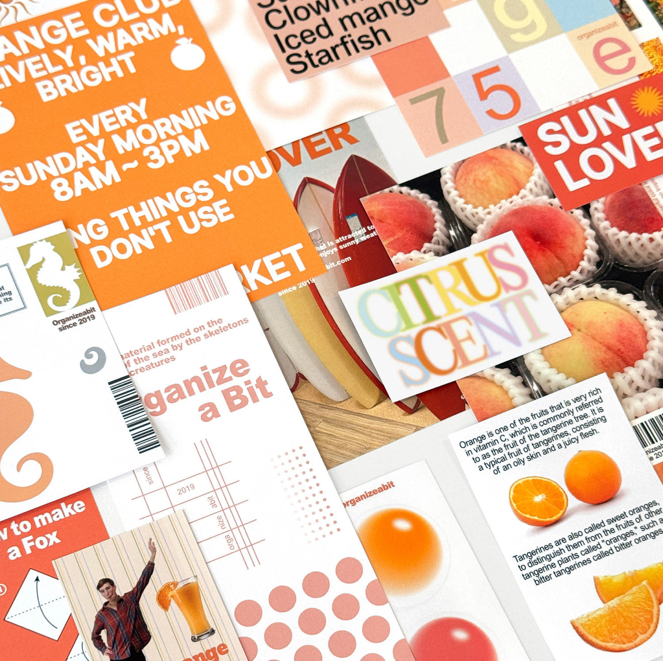 Organize a bit Tone Pack Orange #F4A466