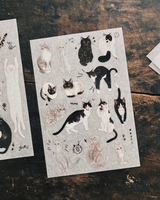 Somesortof.fern Black & White Cat Transfer Sticker