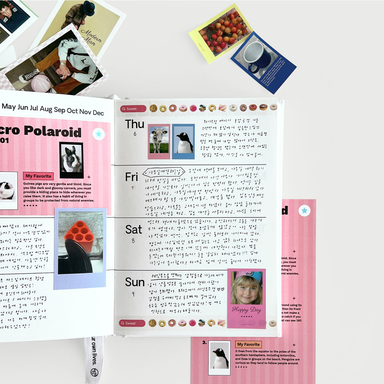Organize a bit Polaroid Sticker Pack // M
