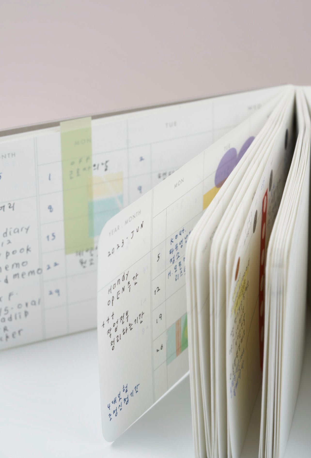 Analogue Keeper 2025 NEW Handy Diary / 1 Year