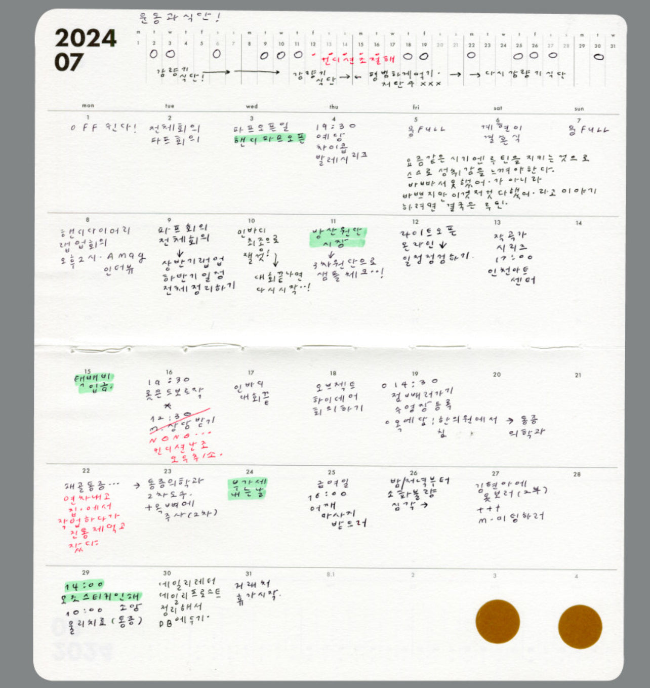 [ PRE-ORDER ] Analogue Keeper 2025 Monthly Diary