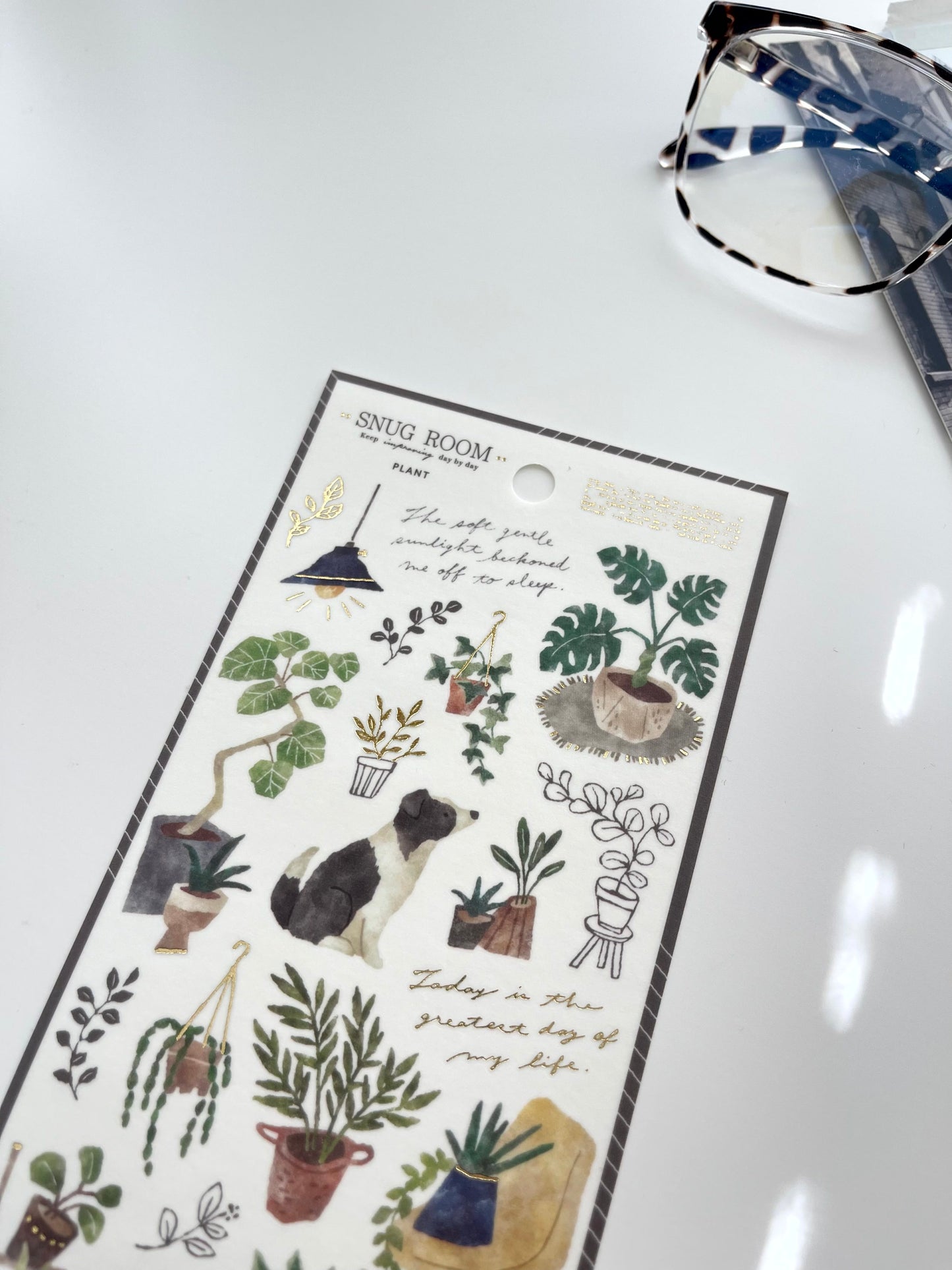 Mind Wave Snug Room Washi Sticker | Plants