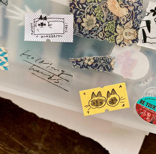 Somesortof.fern Mini Label Sticker Roll // Cat in the Box
