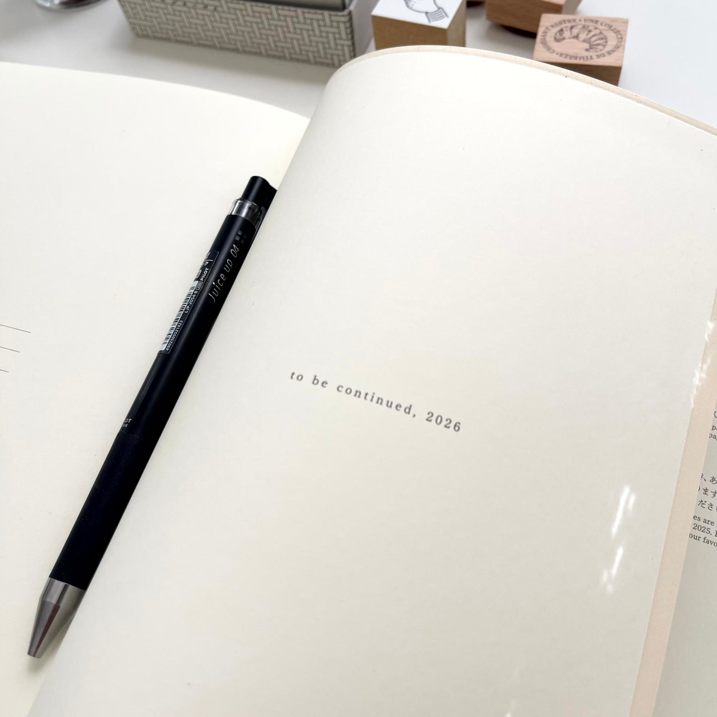 MIDORI 2025 Notebook Diary 1 Day 1 Page || A5