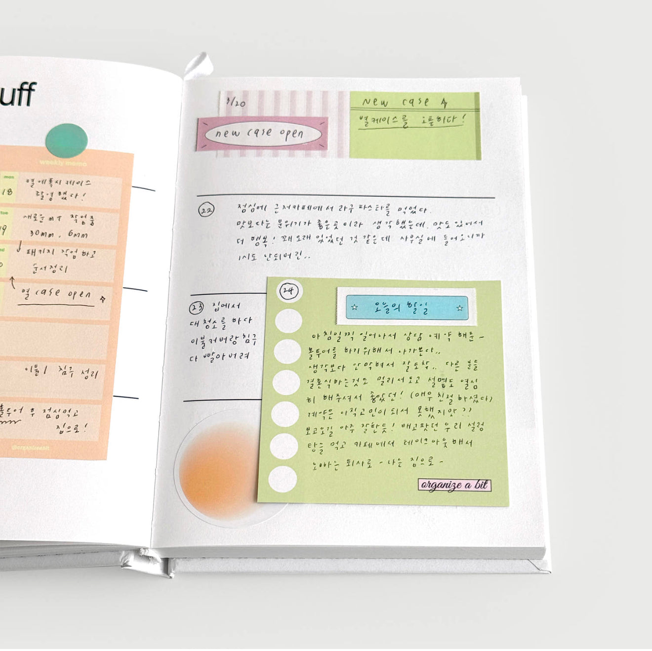 Organize a bit ASK Undated 1 Year Diary / Melon