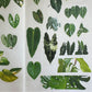 Kmmile Collection of Plants Masking Tape / White