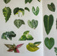 Kmmile Collection of Plants Masking Tape / White