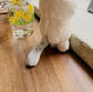 Mr. Eggplants Chubby Kitty Plush Toy / Key Chain / Bag Charm