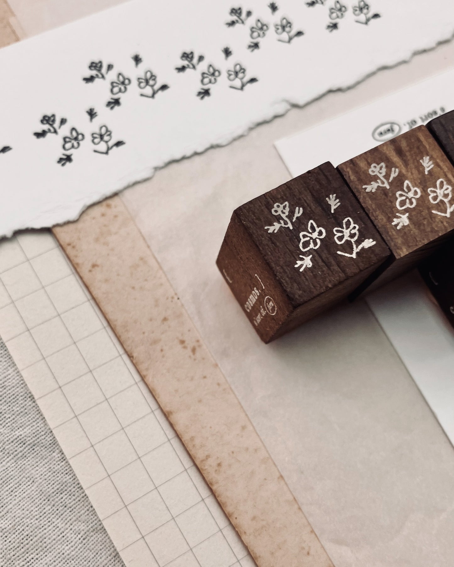 Somesortof.fern 2025 Autumn (NEW) Rubber Stamp / Cosmos