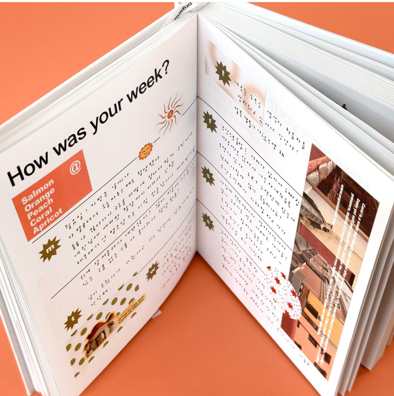 Organize a bit Tone Pack Orange #F4A466