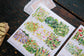 OURS Bright Bloom Stamp Sticker Set