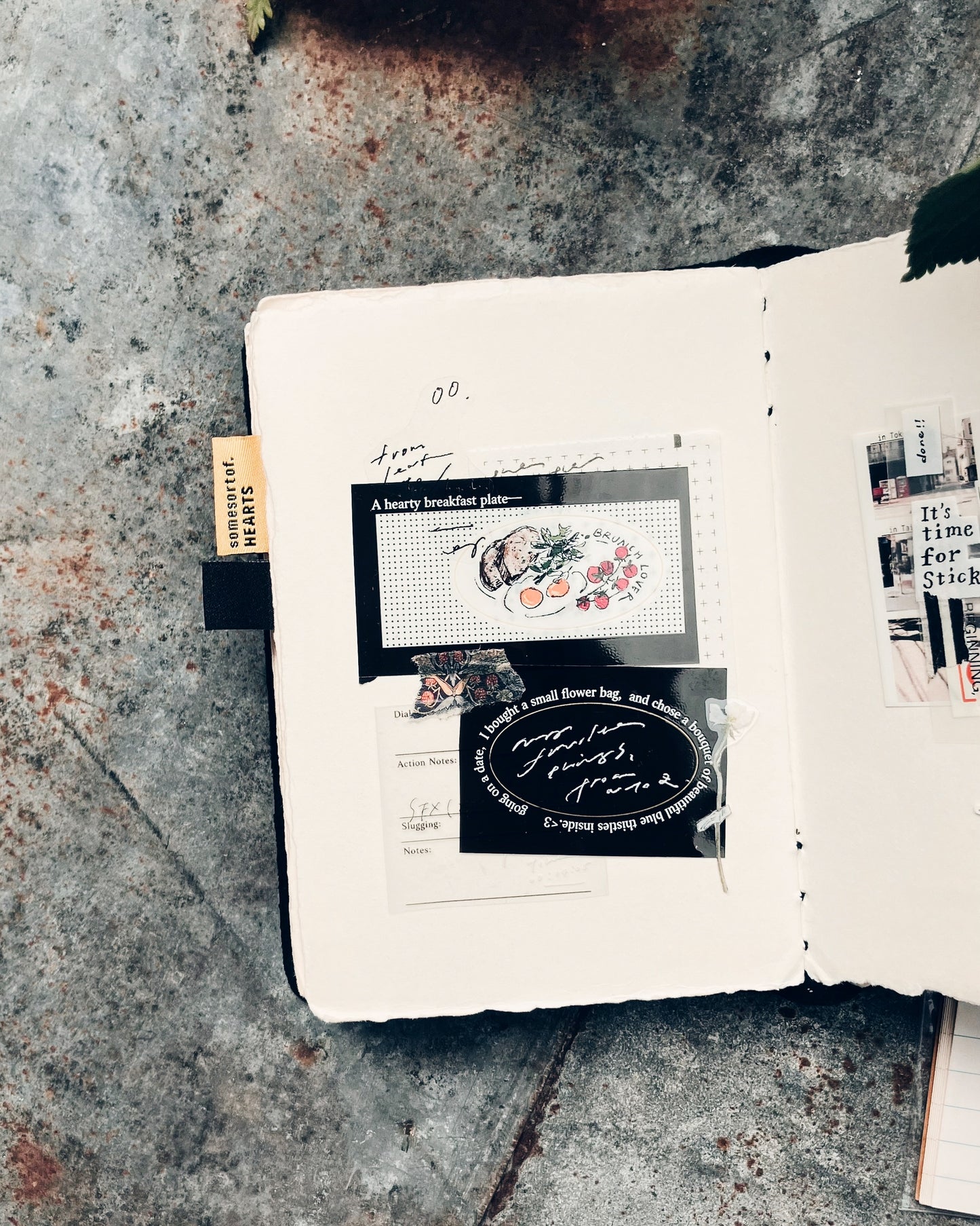 Somesortof.fern My Favorite Things PET Sticker Roll