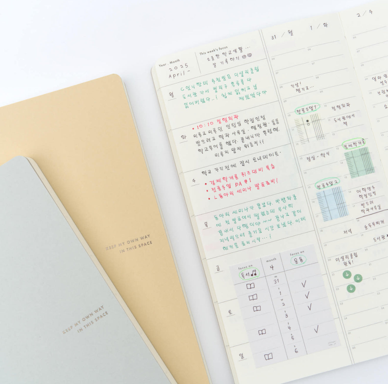 [ PRE-ORDER ] Analogue Keeper Space Diary / 6 month