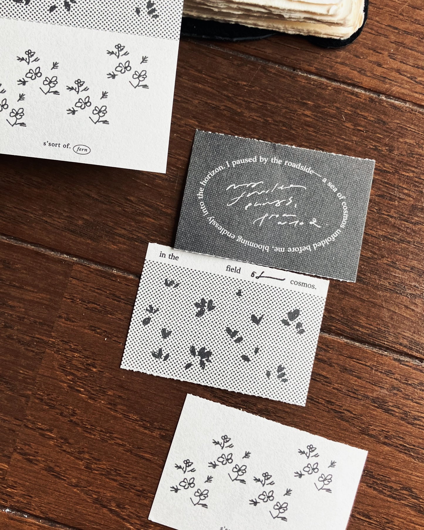 Somesortof.fern 2025 Autumn (NEW) Memo Pad / Cosmos Field