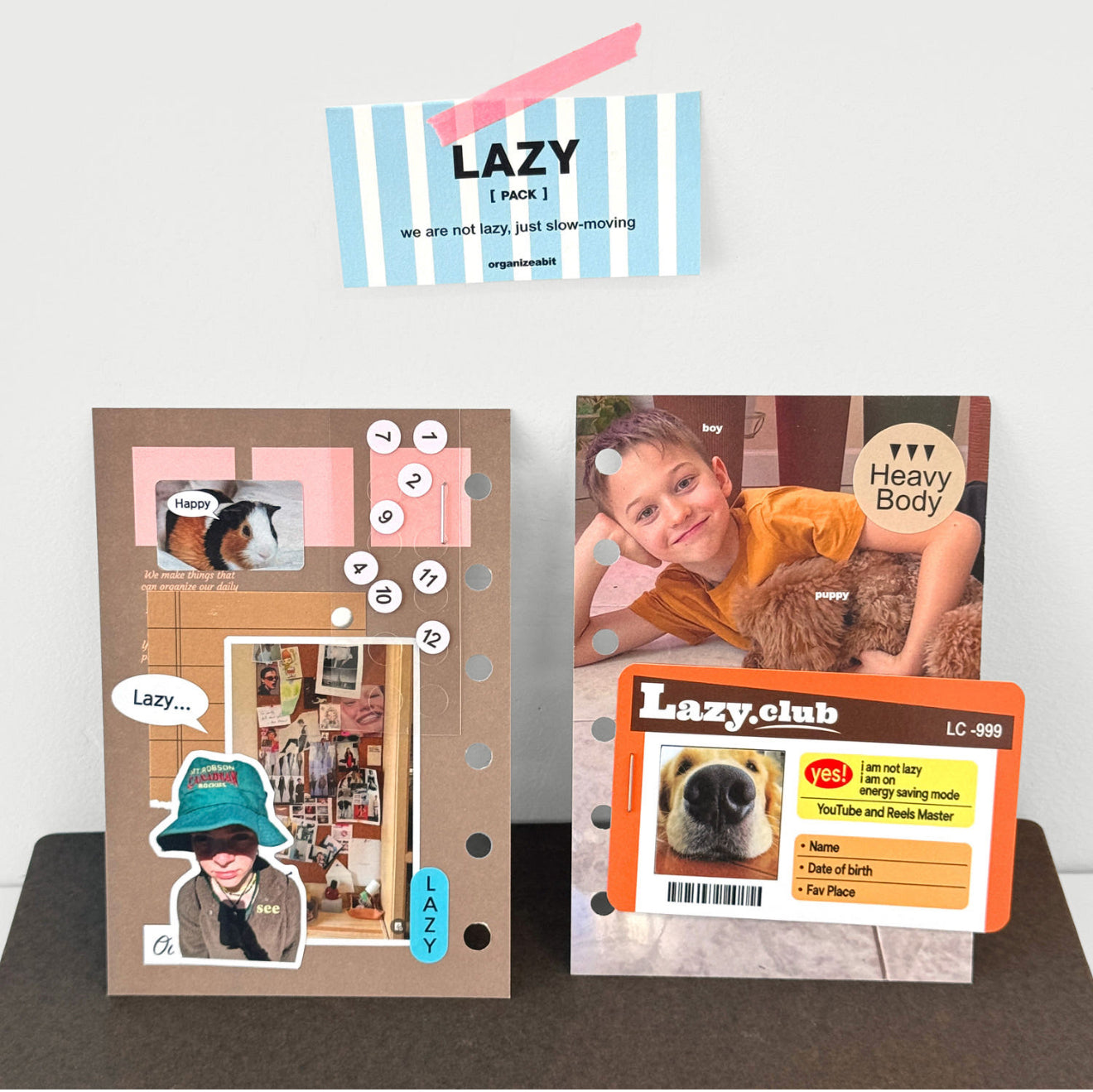 Organize a bit Lazy Pack