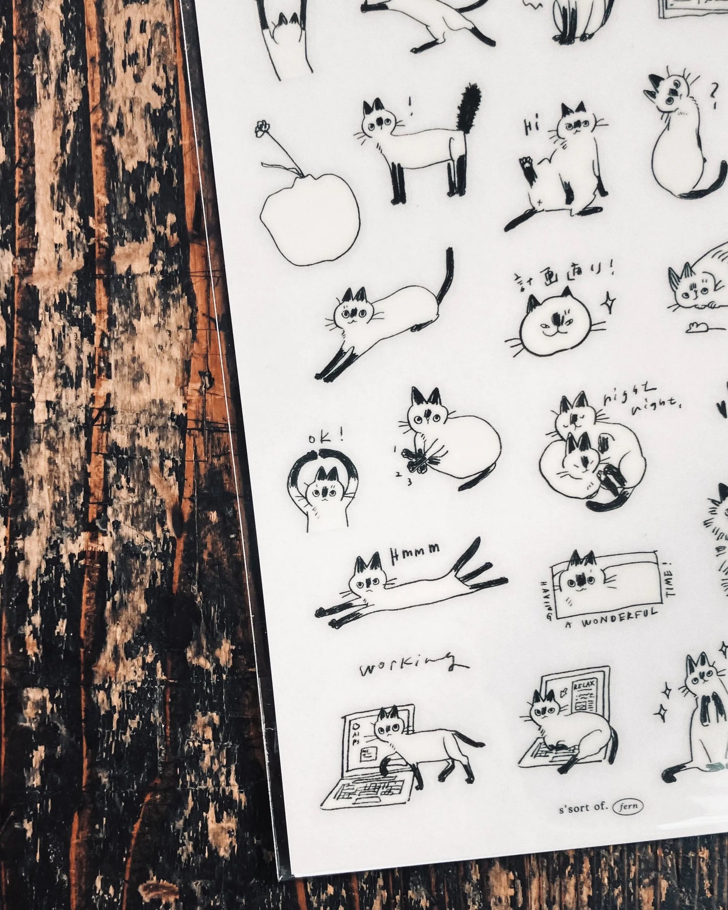 Somesortof.fern 2025 Autumn (NEW) Transfer Sticker / Little Black Faces