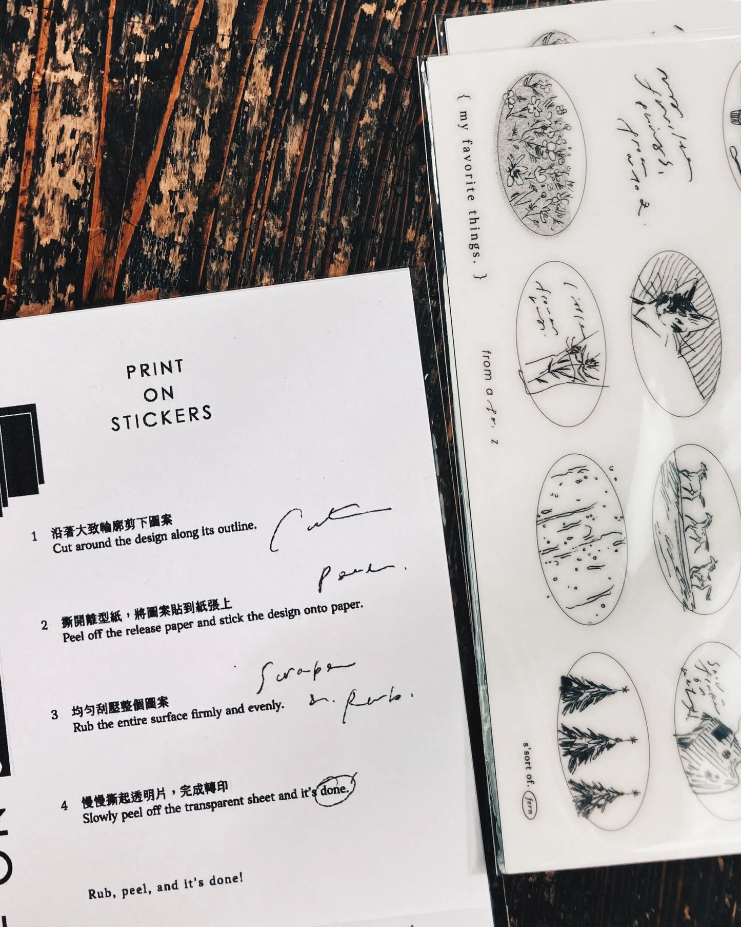 Somesortof.fern Beloved Sketches Transfer Sticker Set
