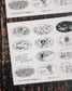 Somesortof.fern Beloved Sketches Transfer Sticker Set