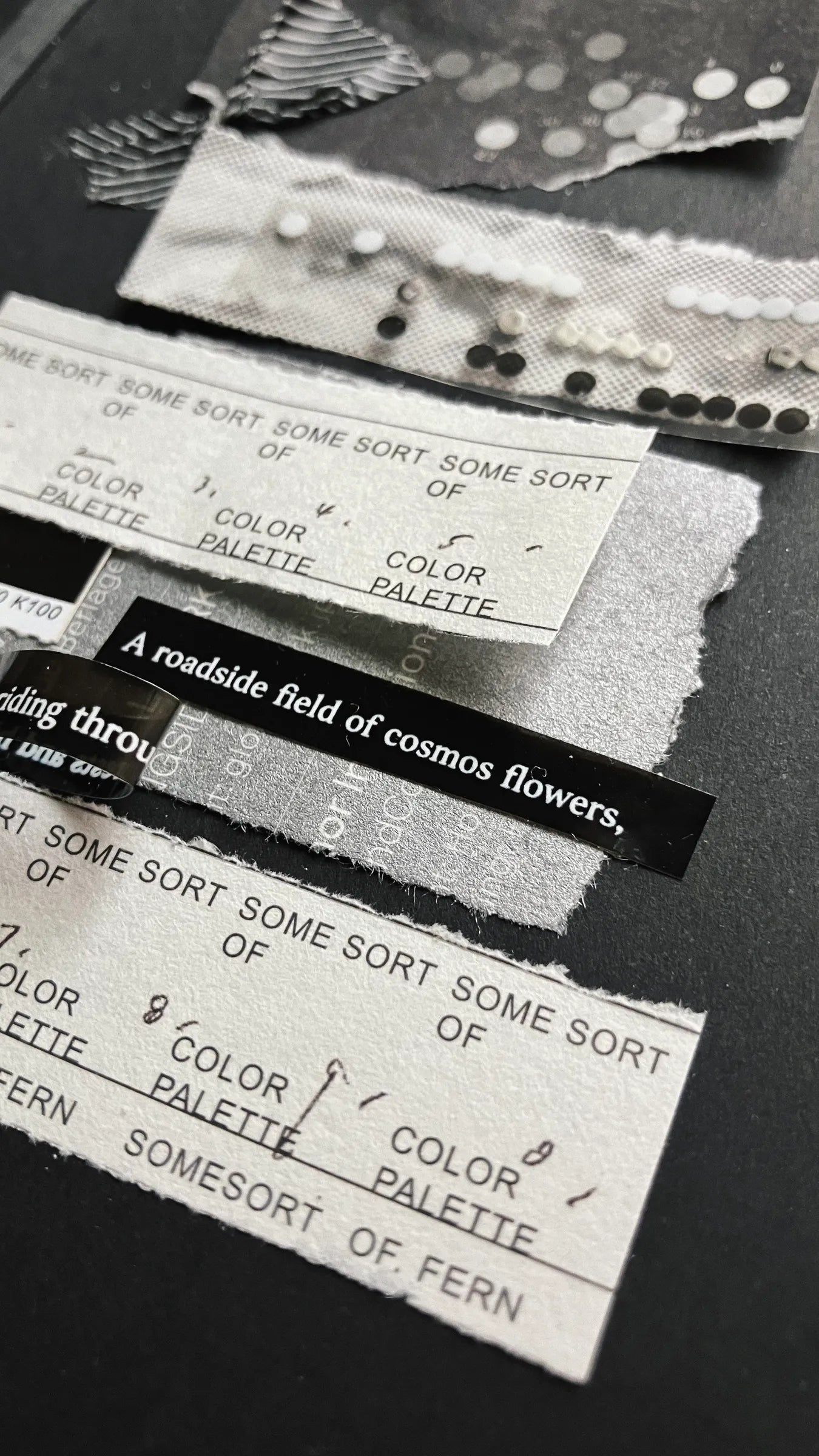 Somesortof.fern K100 Label Book