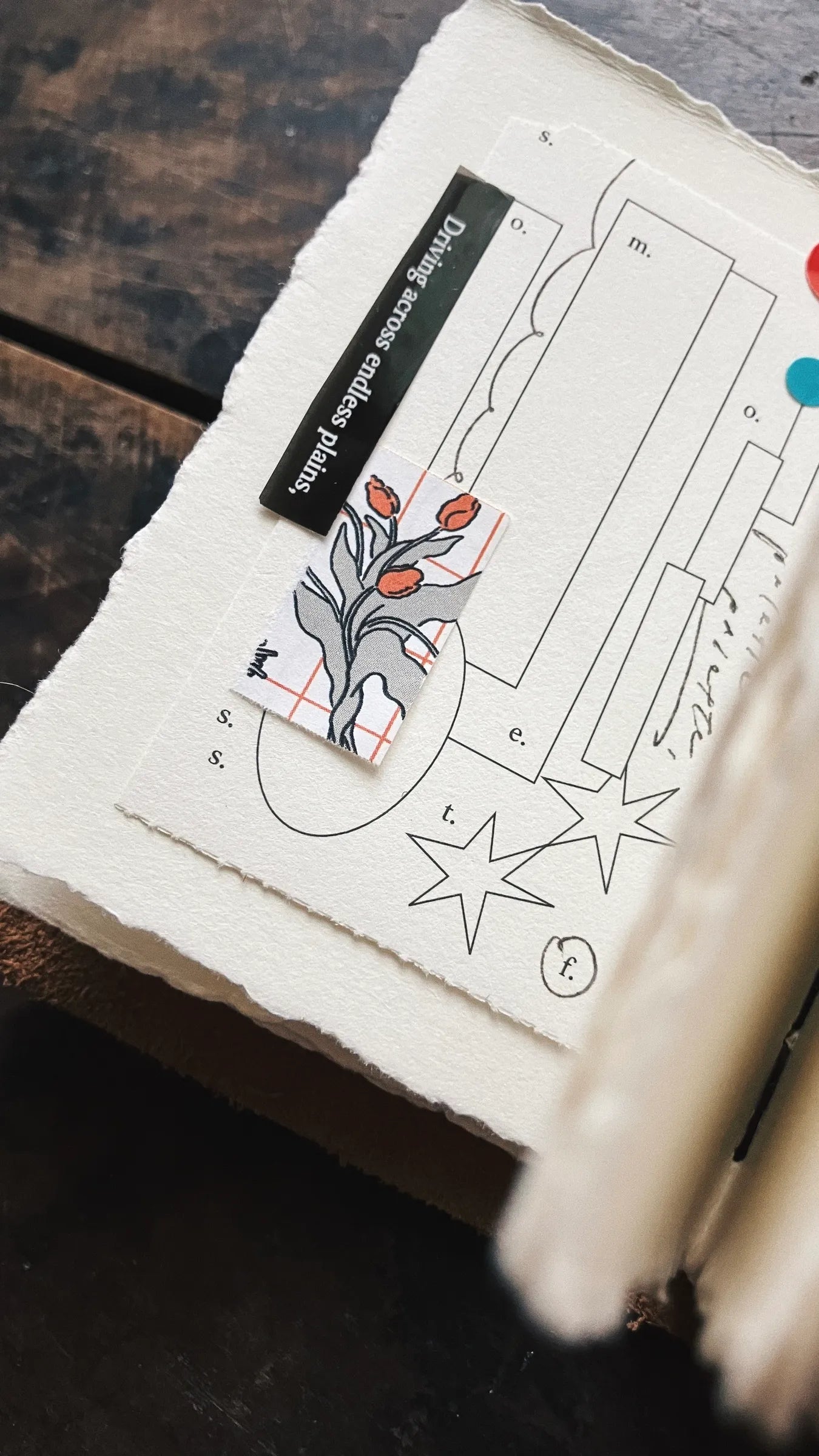 Somesortof.fern Coloring Book Label Book