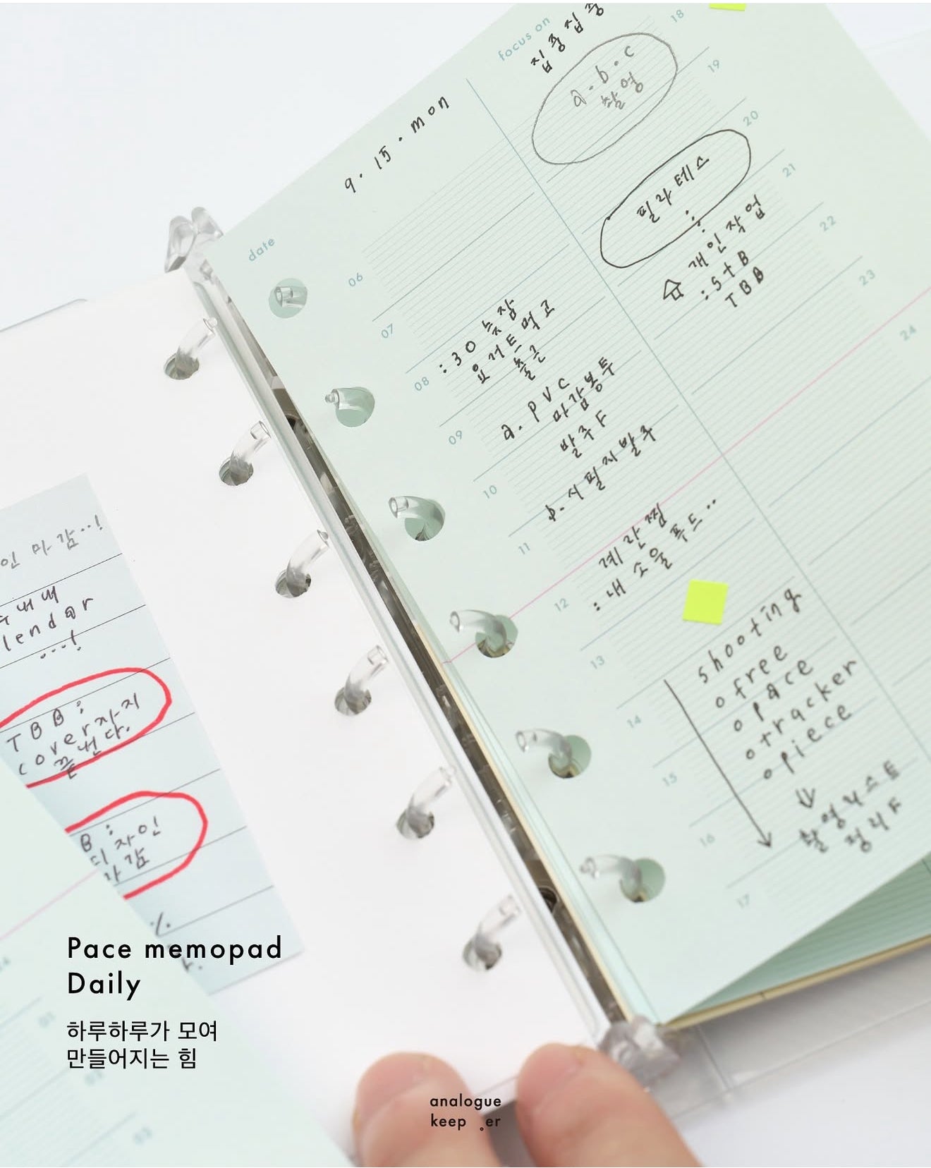 Analogue Keeper 2025 NEW Pace Memo / 3 Designs