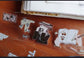 Misshoegg Decorative Window Trip PET Sticker Roll