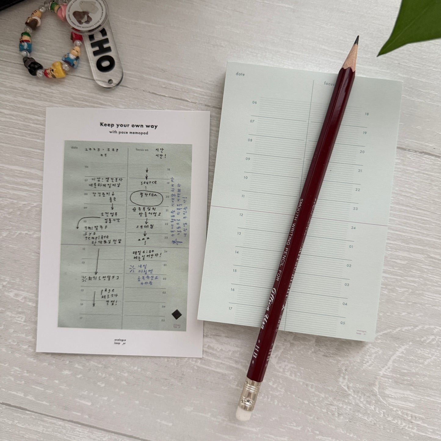 Analogue Keeper 2025 NEW Pace Memo / 3 Designs