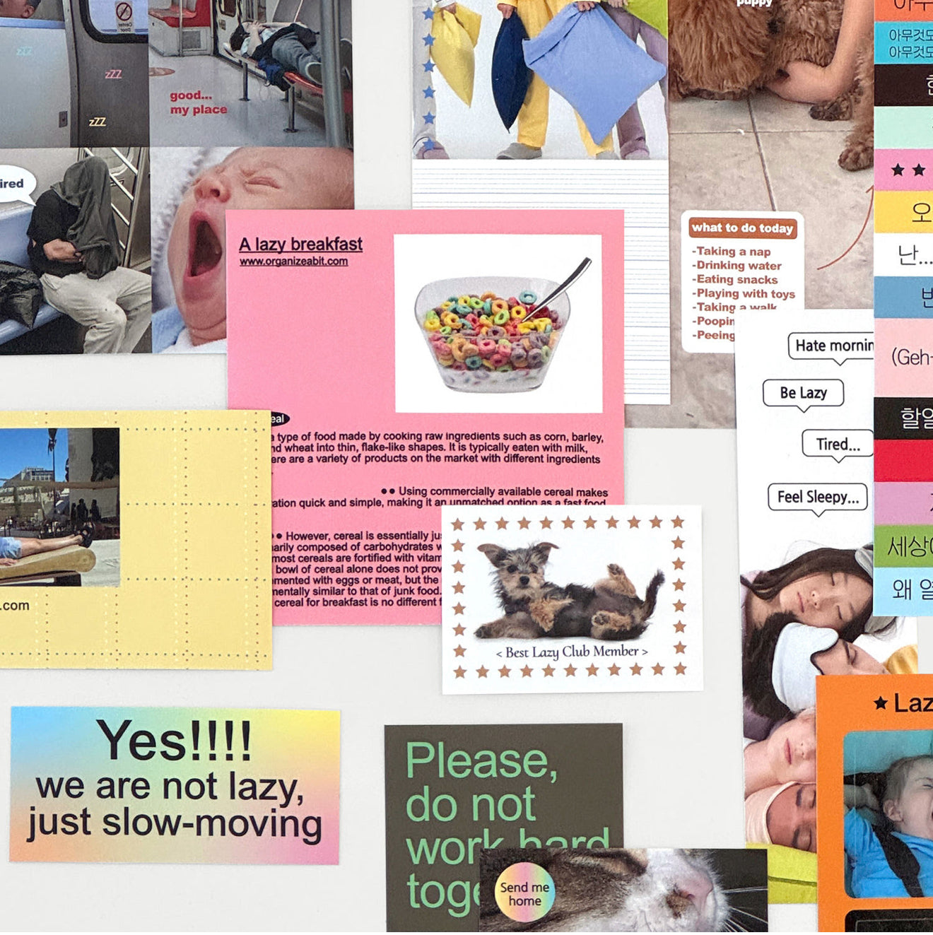 Organize a bit Lazy Pack