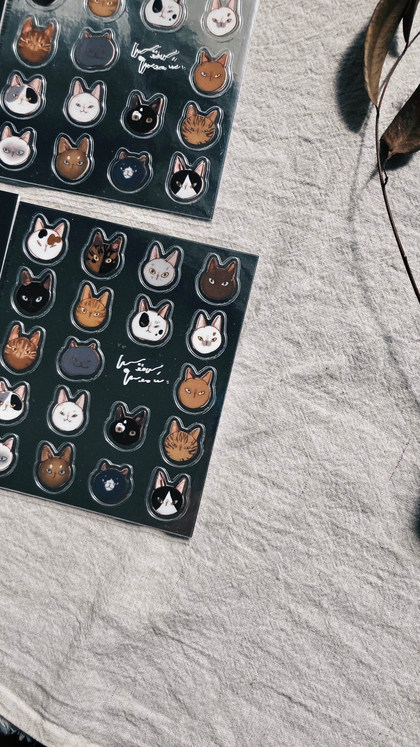 Somesortof.fern Cat Meme Sticker Pack