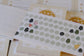 [ PRE-ORDER ONLY ] EileenTai 2025 Summer NEW / Little Village Memo Pad