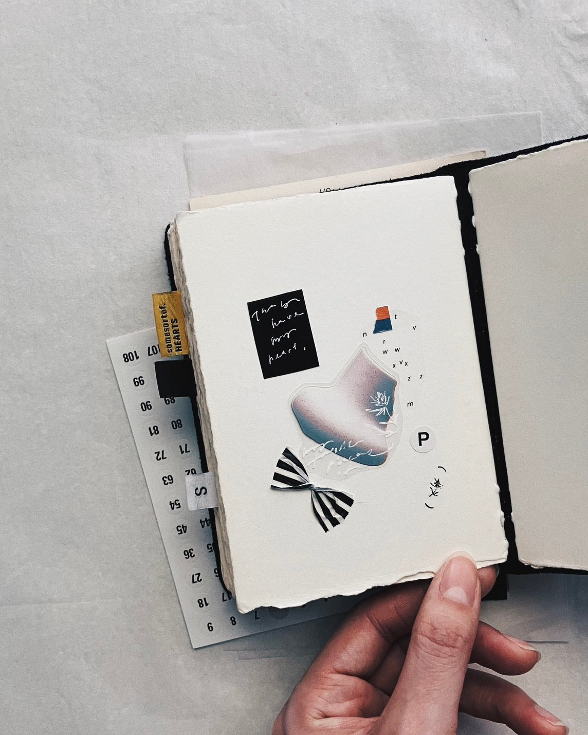 Somesortof.fern Pieces of PET Tape