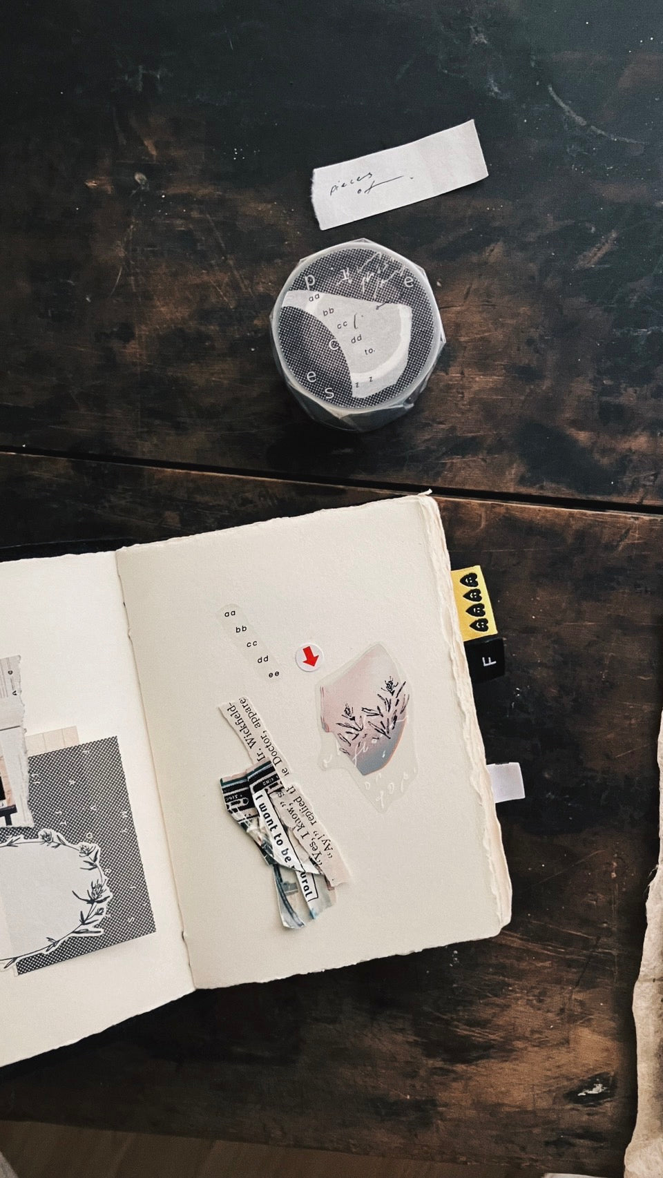 Somesortof.fern Pieces of PET Tape